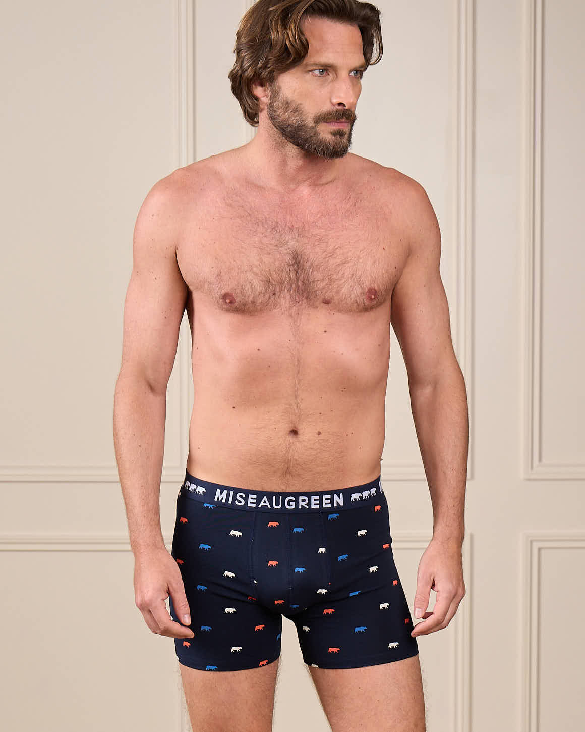 Boxer Adriel - Image 2