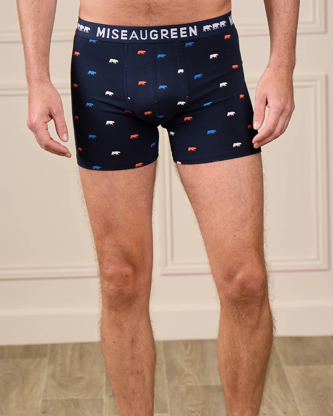 Boxer Adriel - Image 3