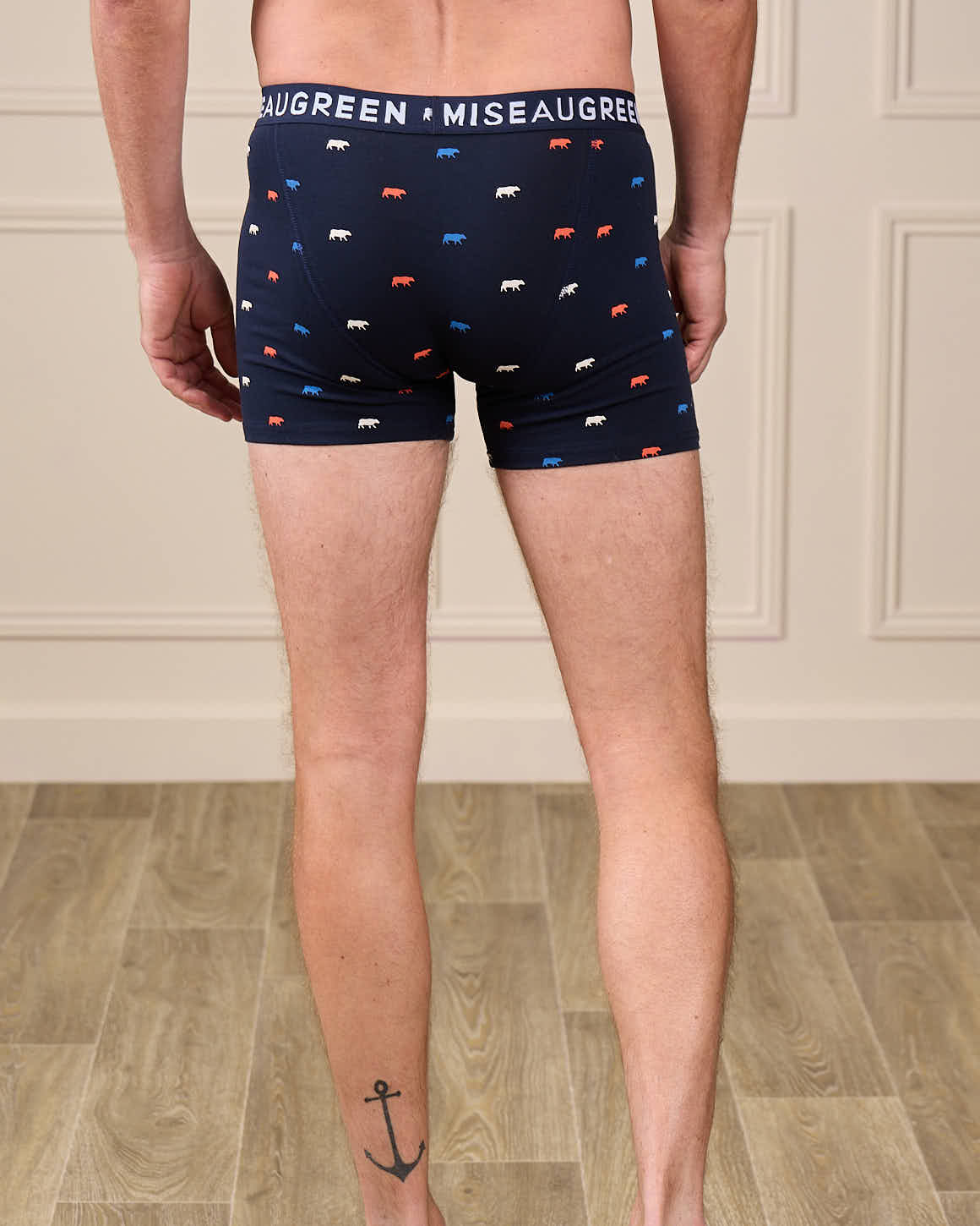 Boxer Adriel - Image 6