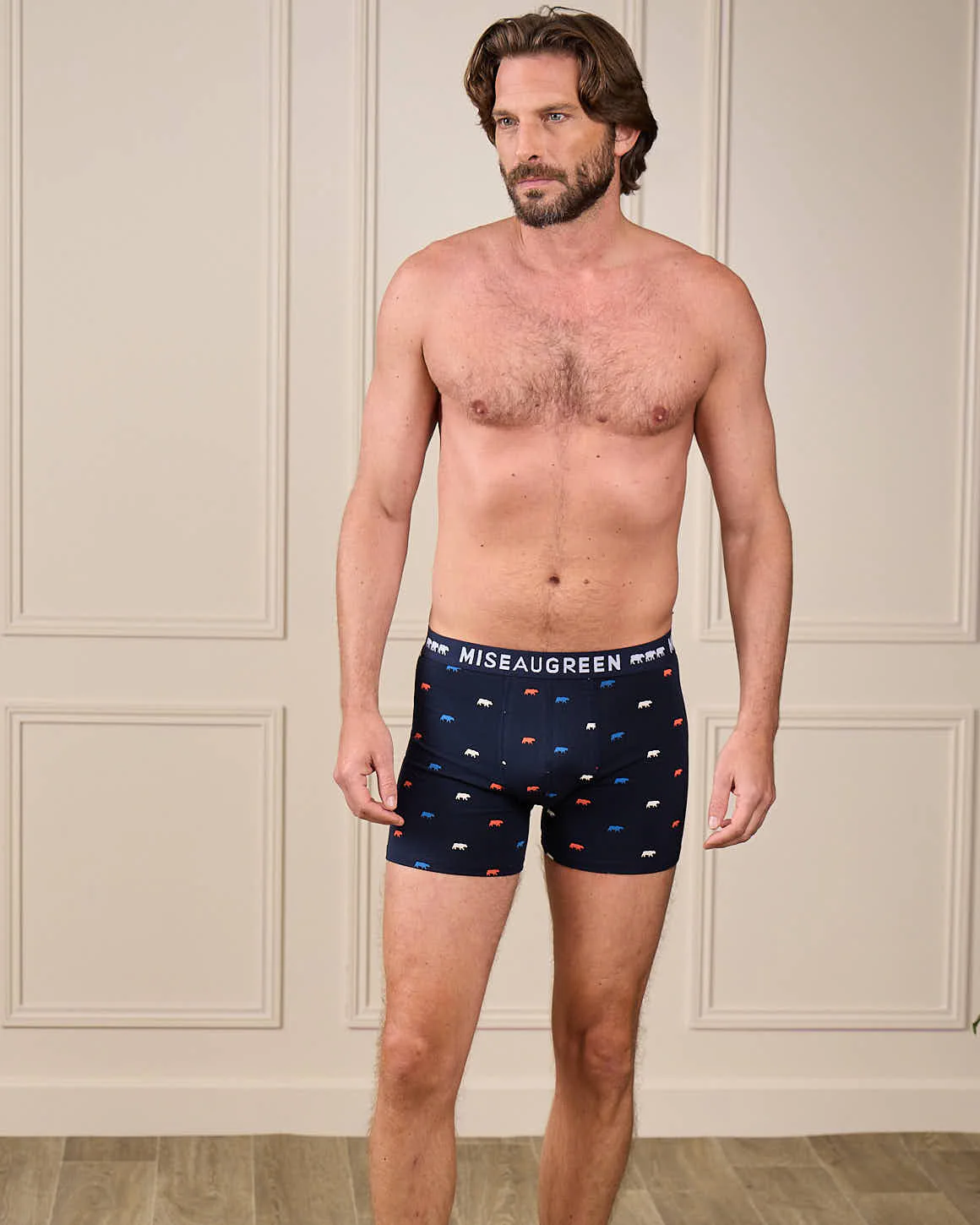 Boxer Adriel - Image 7