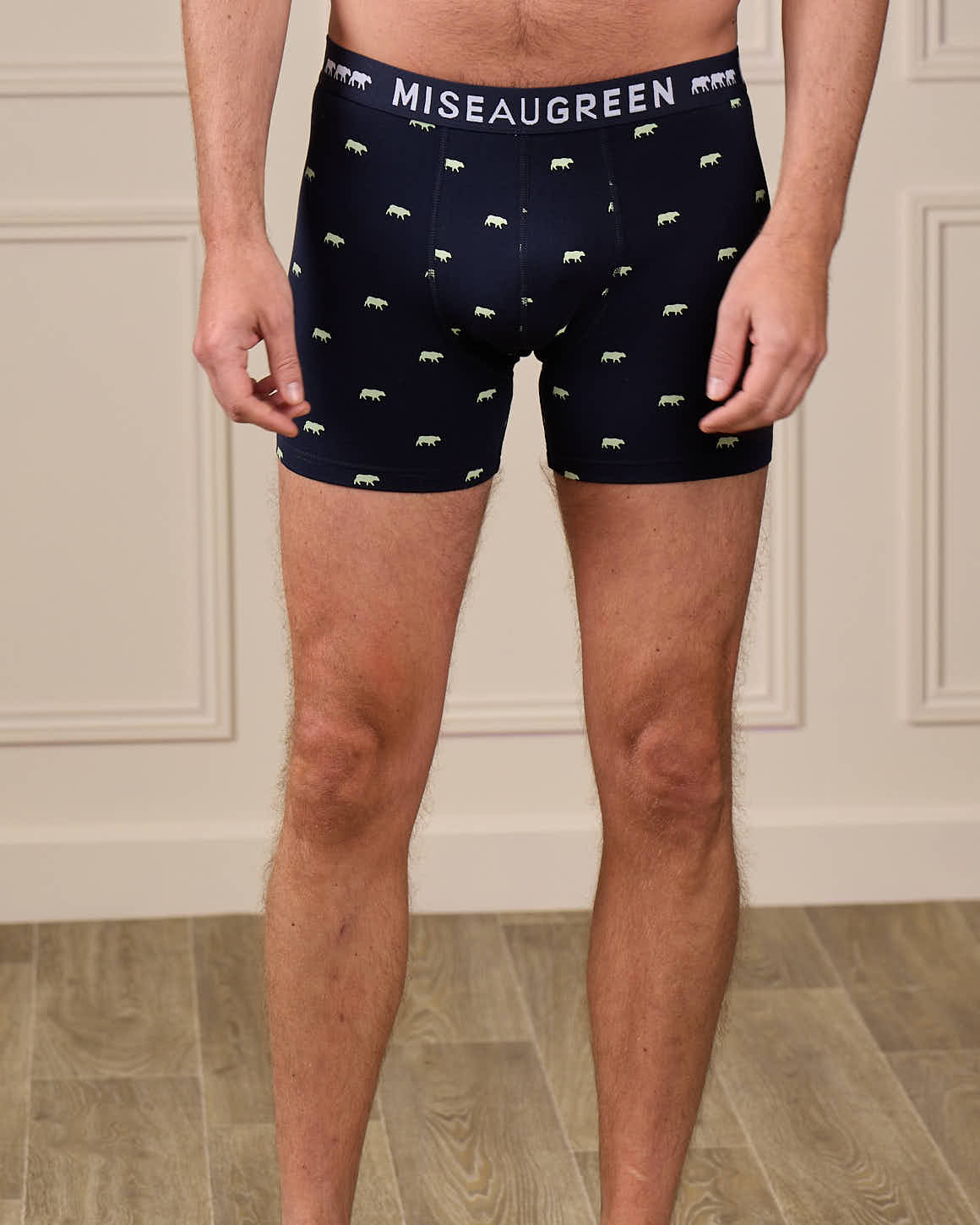 Boxer Adriel - Image 4