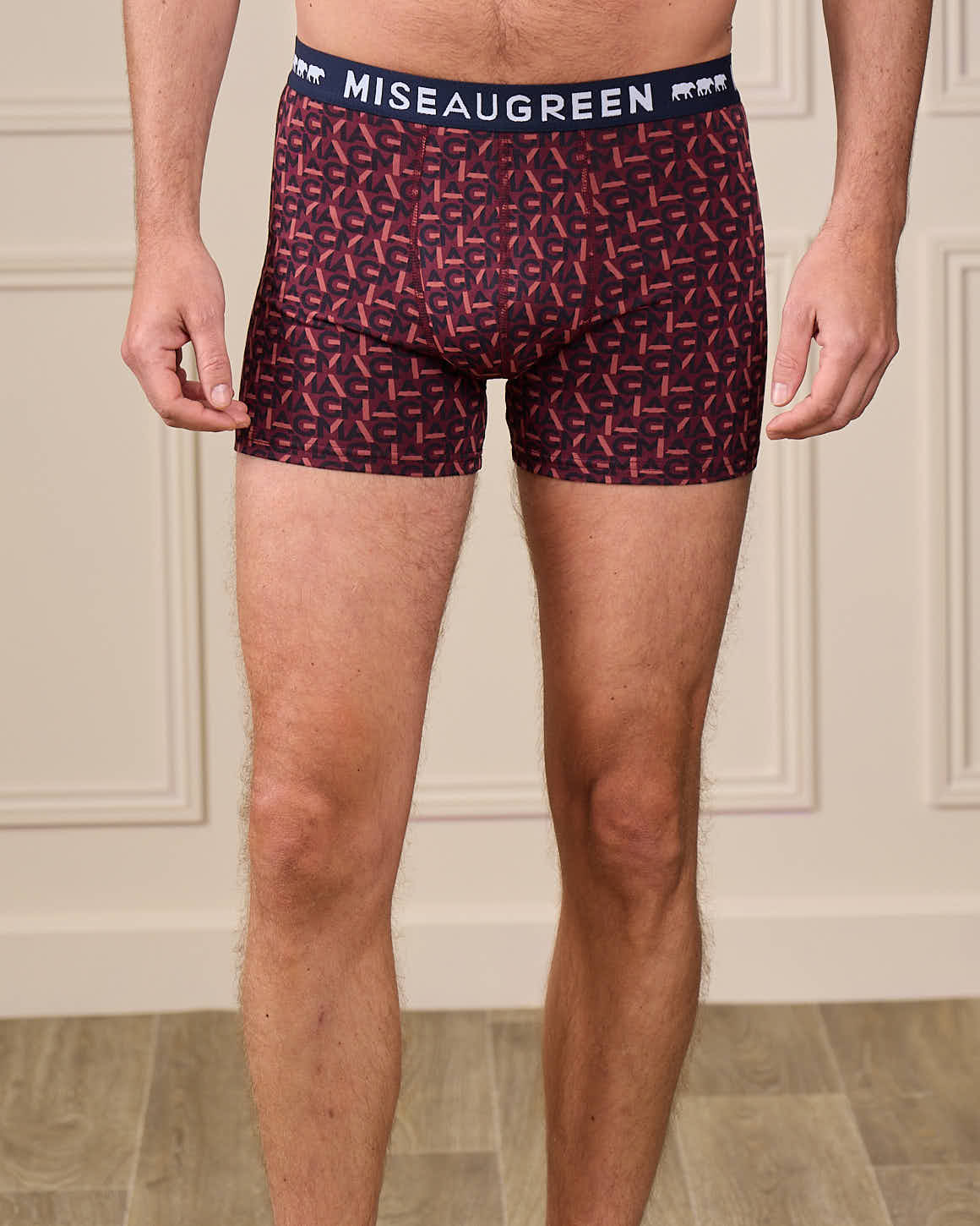 Boxer Adam - Image 2