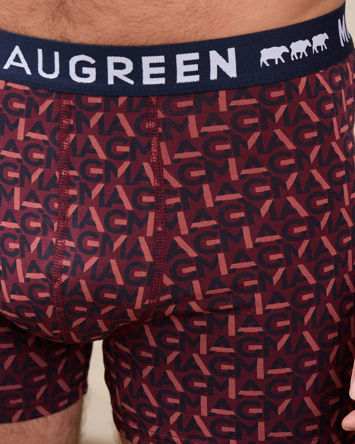 Boxer Adam - Image 3