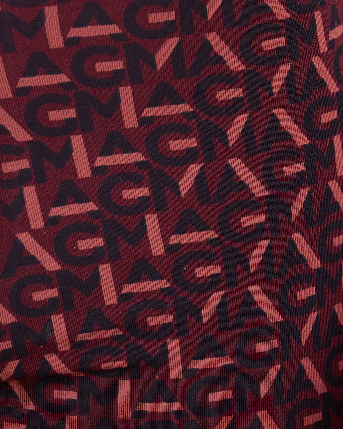 Boxer Adam - Image 4