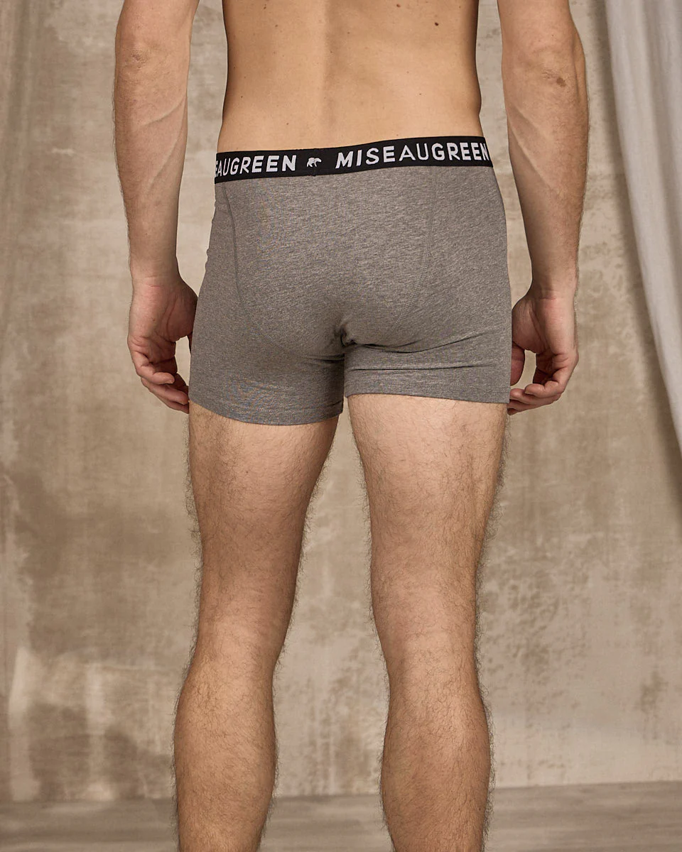 Boxer Adrien - Image 3