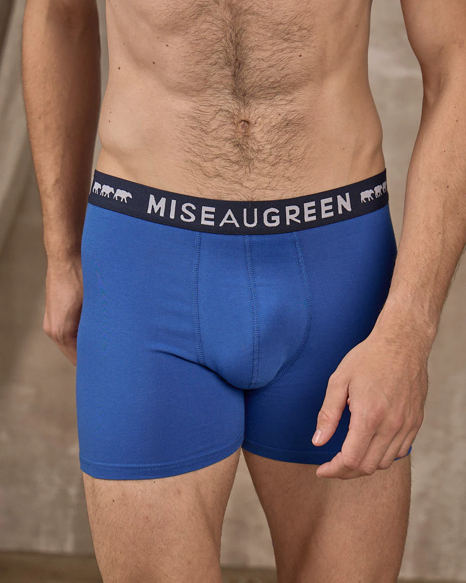 Boxer Adrien - Image 2