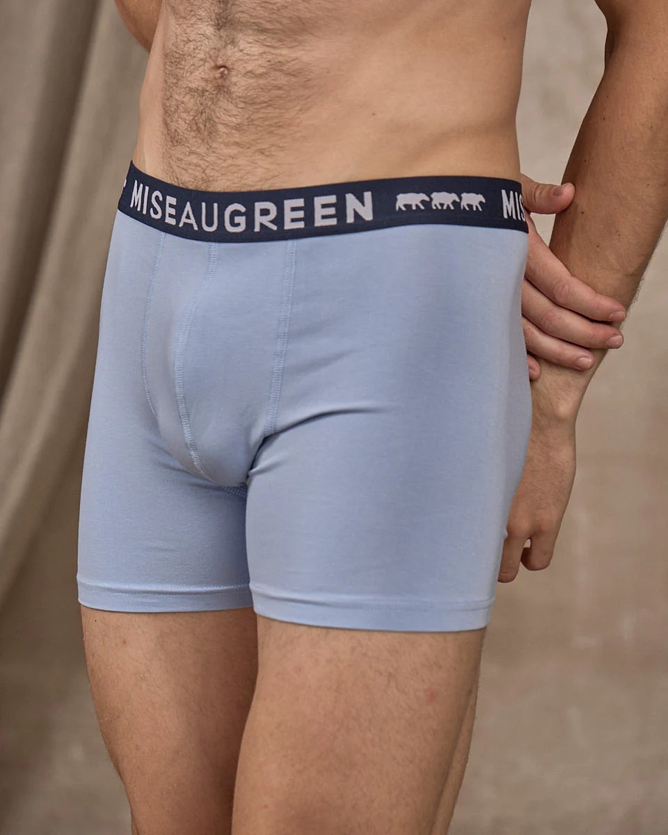 Boxer Adrien - Image 2
