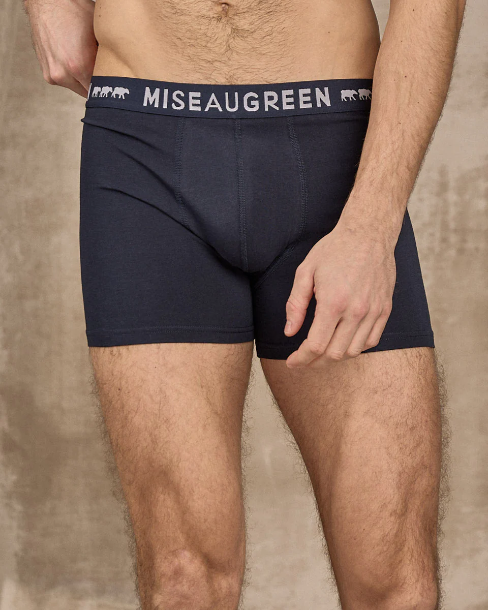 Boxer Adrien - Image 2