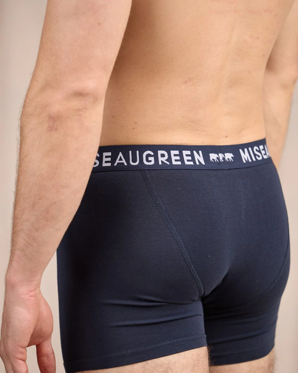 Boxer Adrien - Image 3