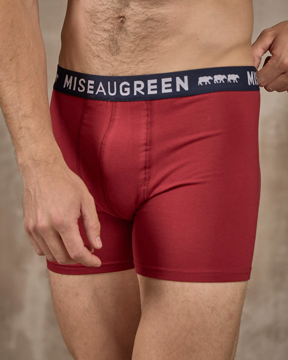 Boxer Adrien - Image 3