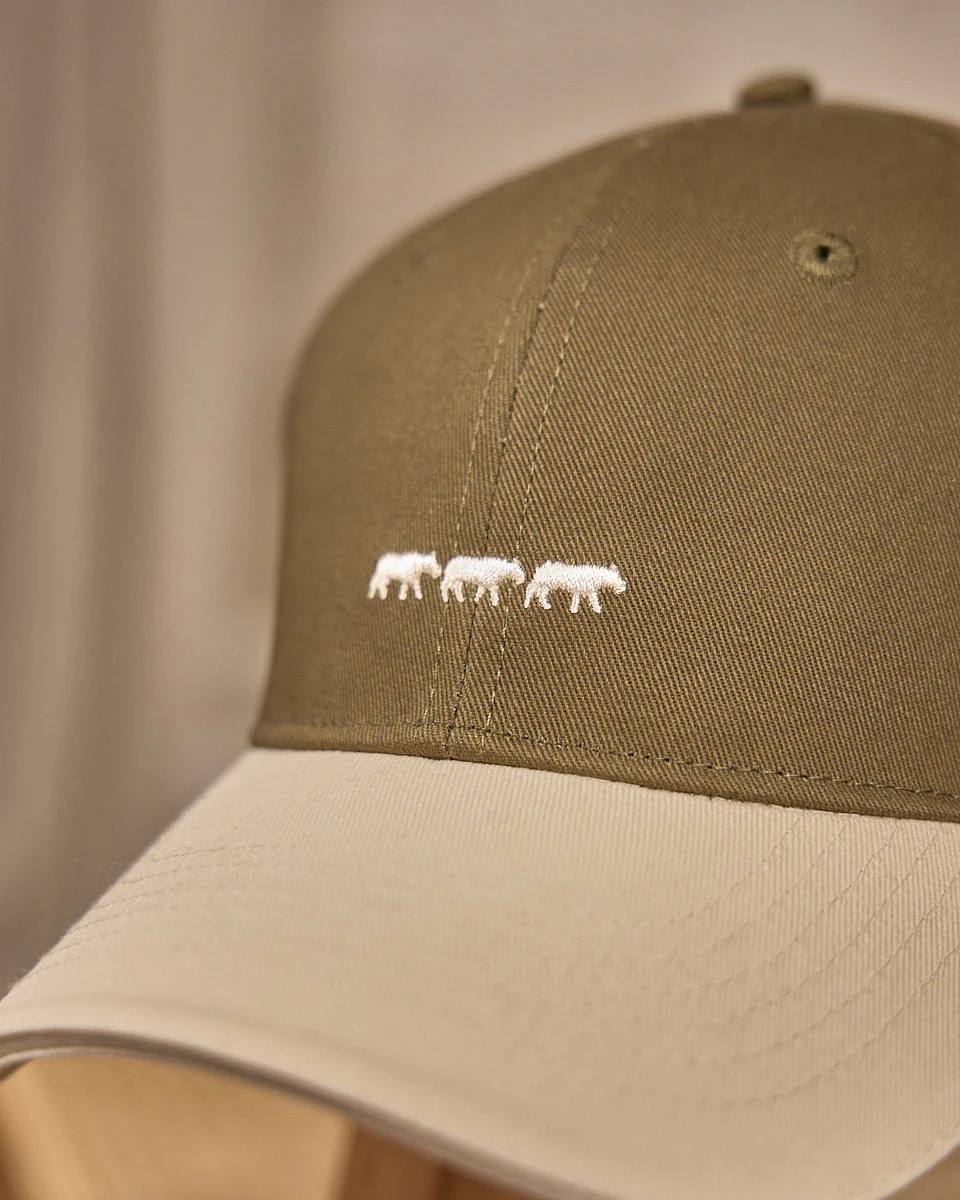 Casquette Delcie - Image 5