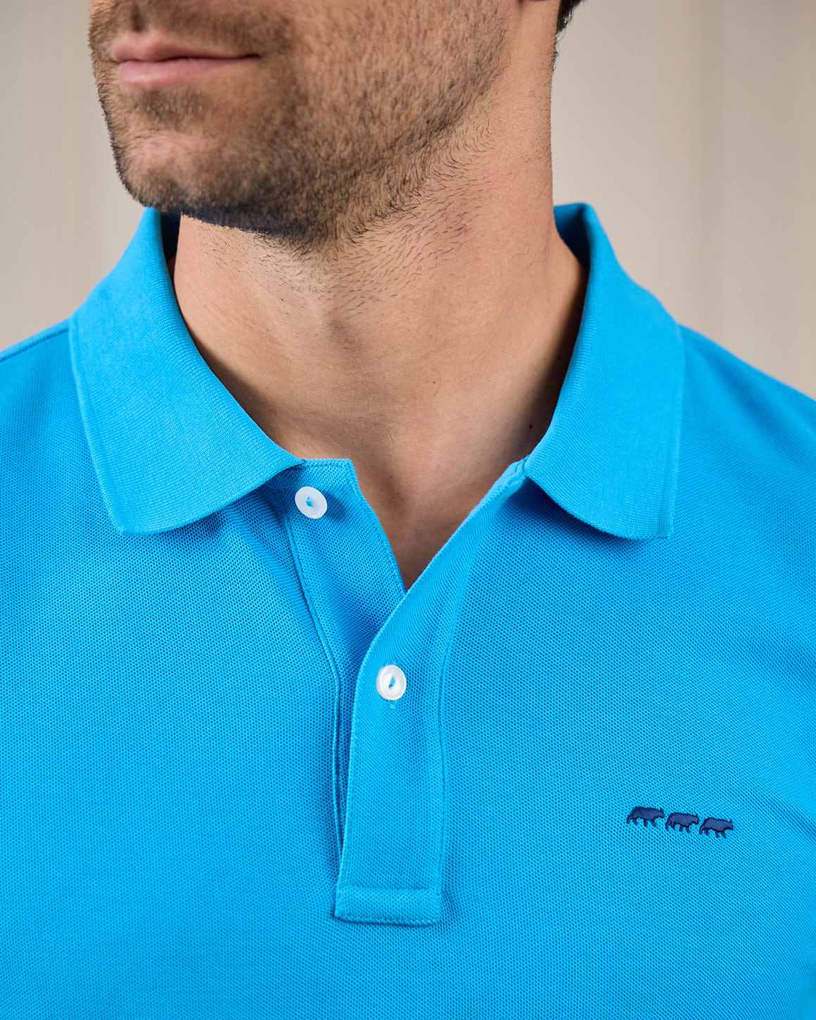 Polo Collin - Image 3