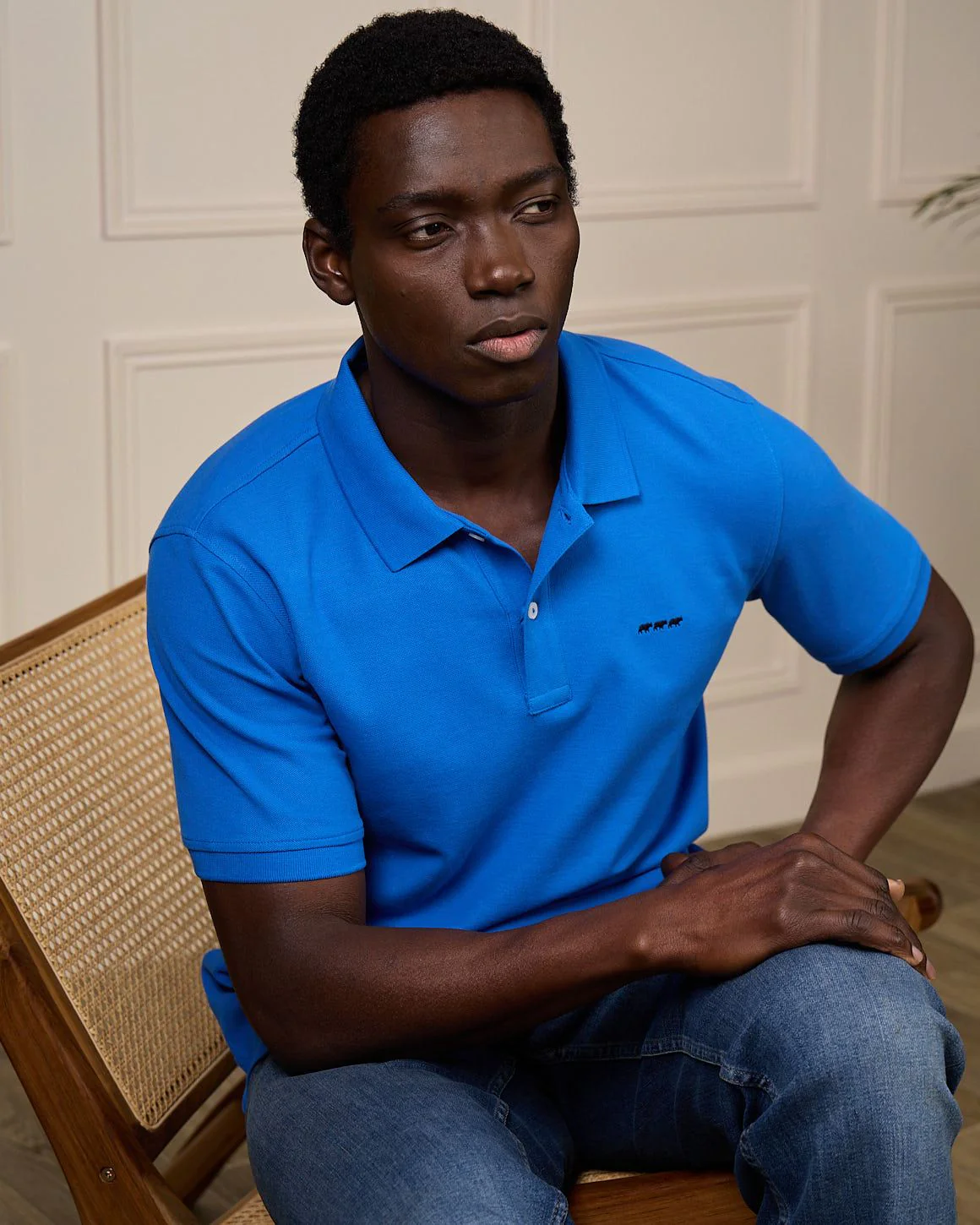 Polo Collin - Image 5