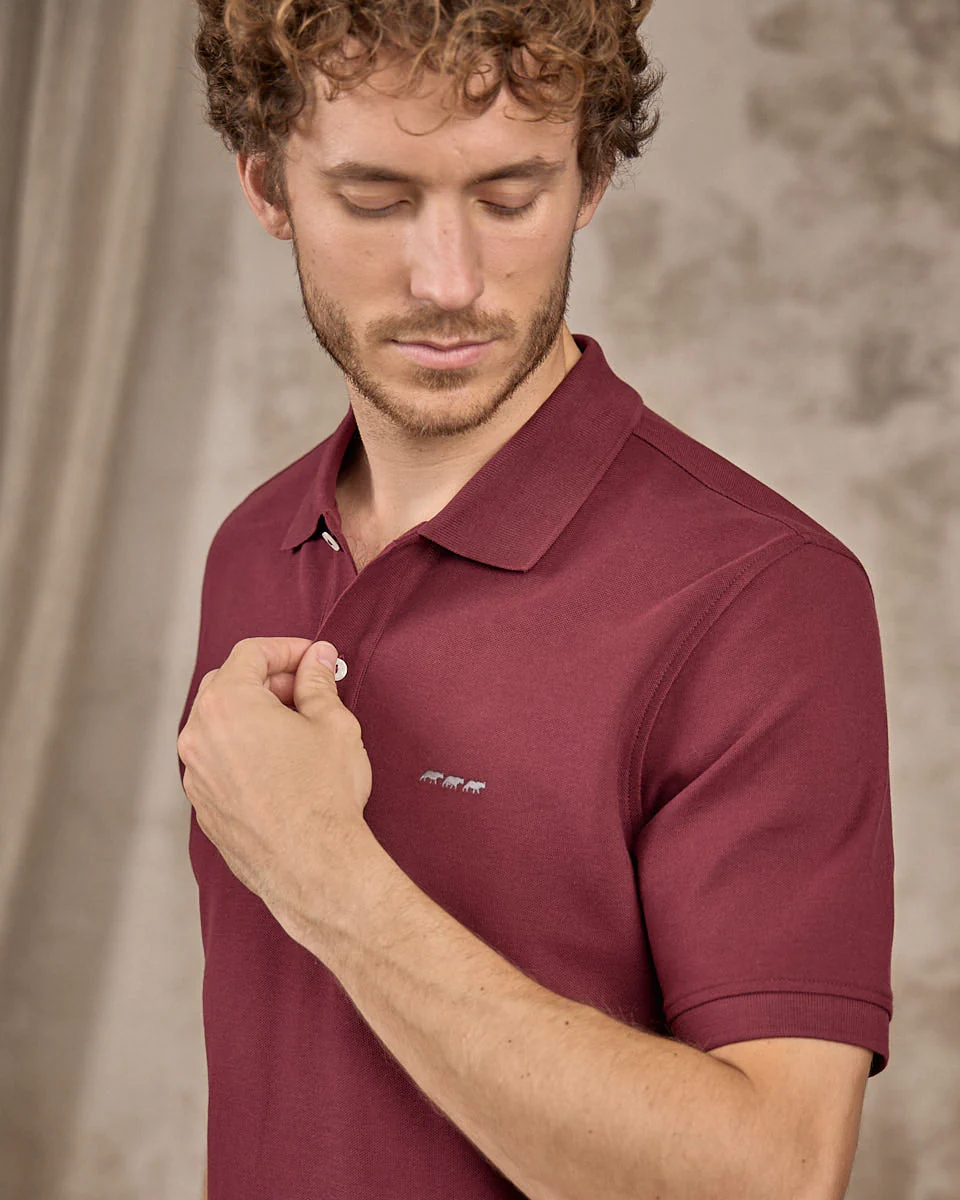 Polo Collin - Image 4