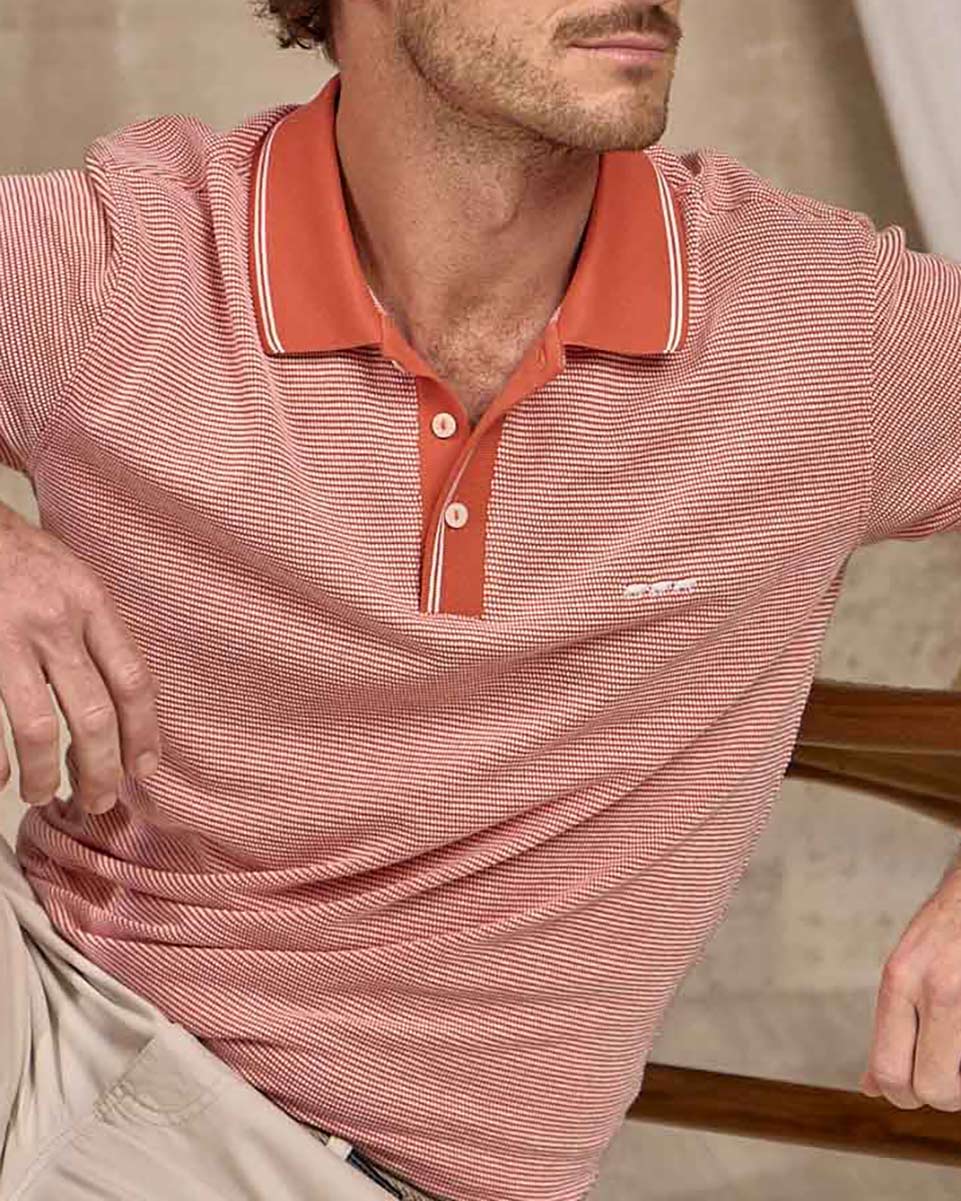 Polo Darvin