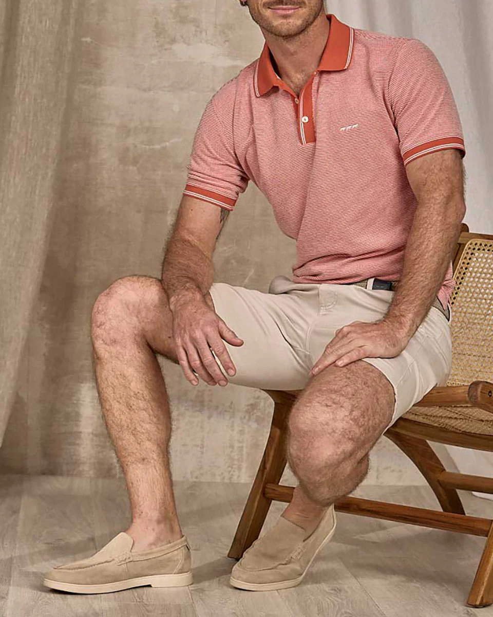Polo Darvin - Image 3