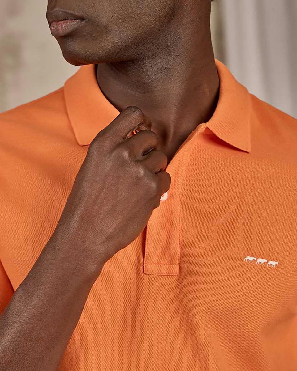 Polo Collin