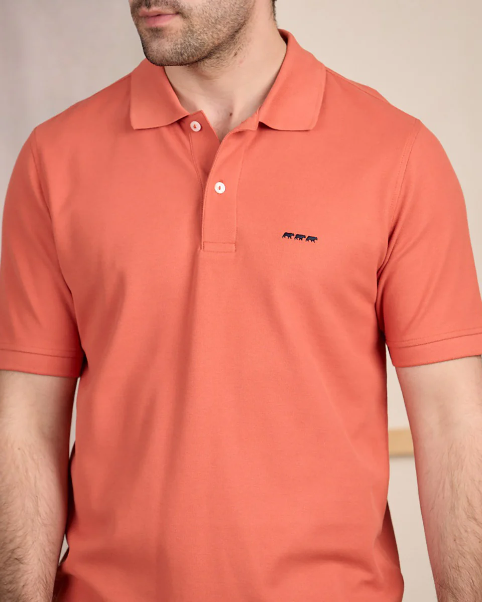 Polo Collin - Image 3