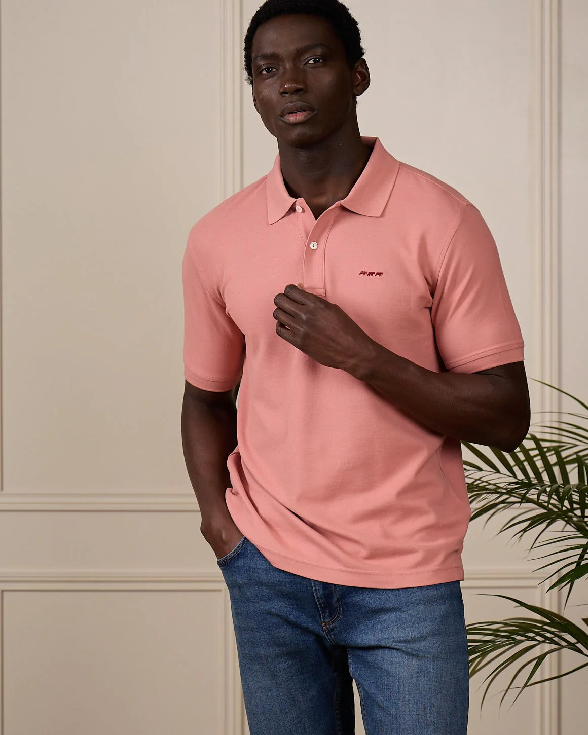 Polo Collin - Image 3