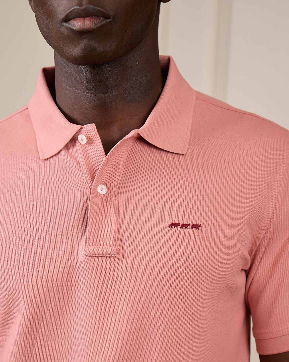 Polo Collin - Image 4