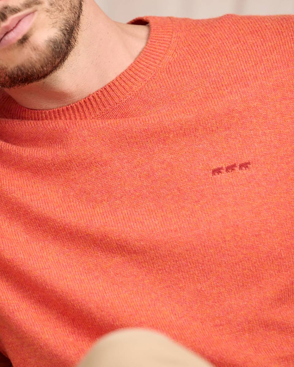 Pull Cassis